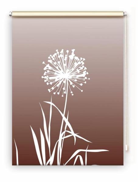 Rollo Allium 24 coffee, Rollo, Motivrollo, Rollo mit Druck, Fotorollo, bedrucktes Rollo, Fensterrollo,verdunkelndes Rollo, Sonnenschutz